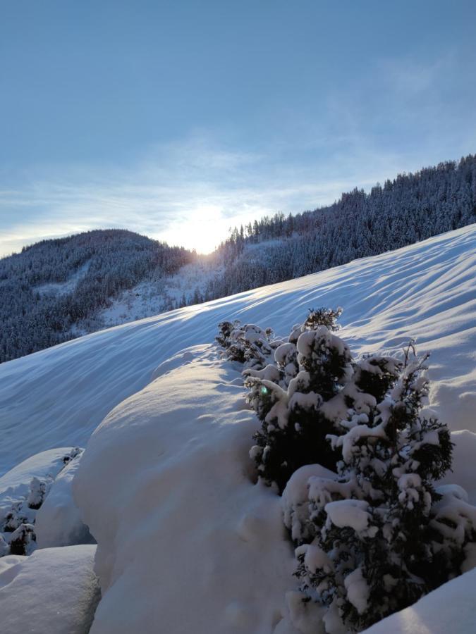 Batacoer - Natures Heartbeat San Vigilio Di Marebbe Bagian luar foto